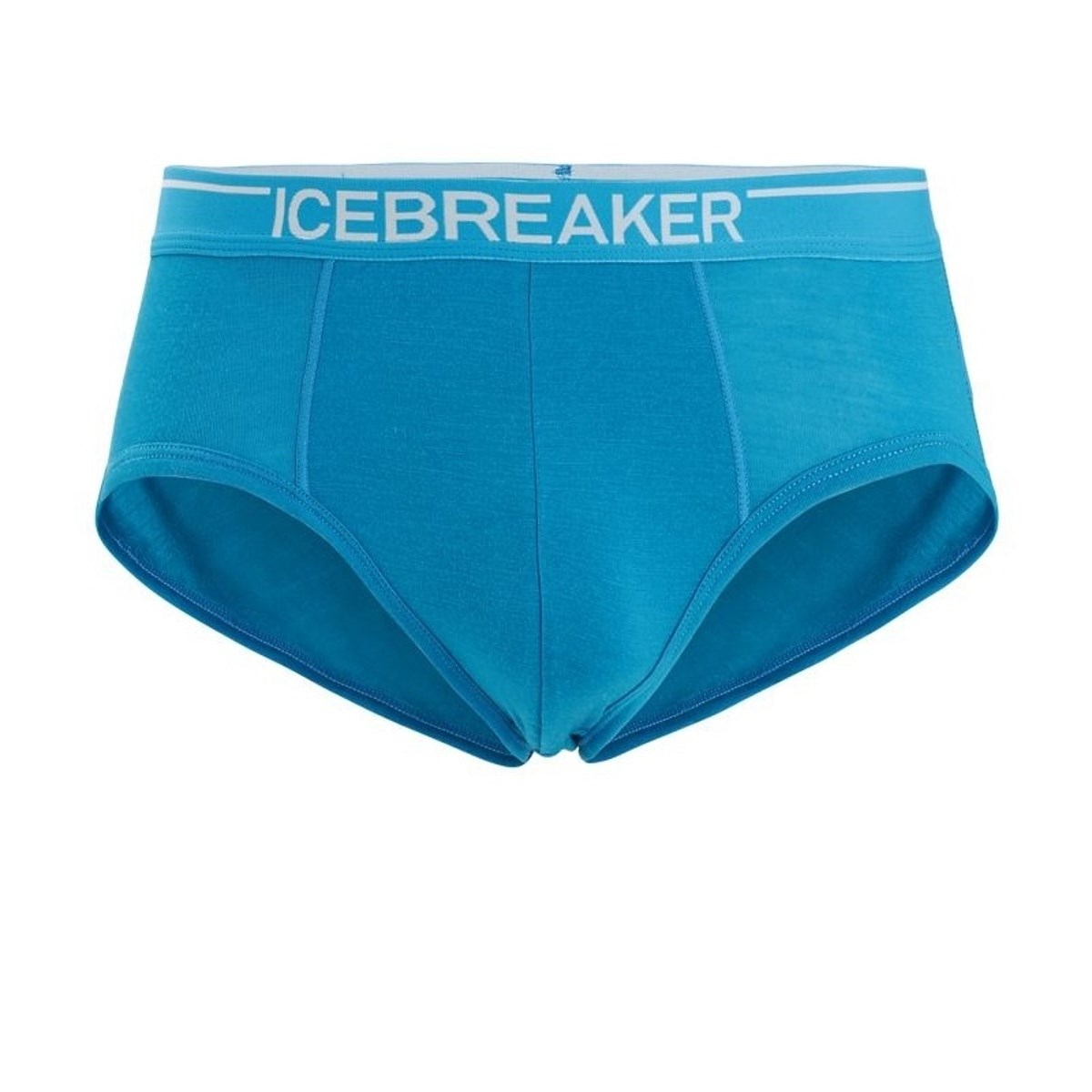 Icebreaker anatomica briefs sale