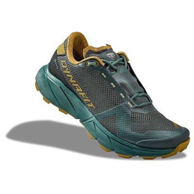 Boty Dynafit Ultra 100 GTX lichen/atlantic Dynafit 10032786 2