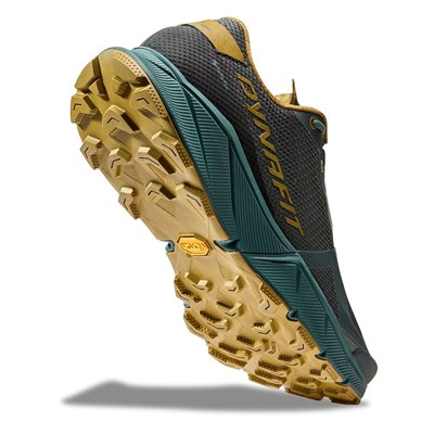 Boty Dynafit Ultra 100 GTX lichen/atlantic Dynafit 10032786 4