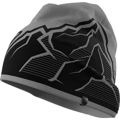 Čepice Dynafit Graphic Beanie alloy
