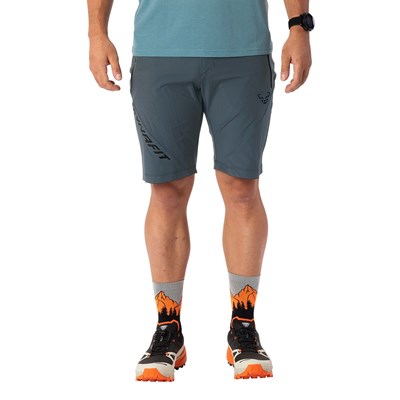 Kraťasy Dynafit Transalper 2 Light Dst Shorts cinder Dynafit 10033565 2