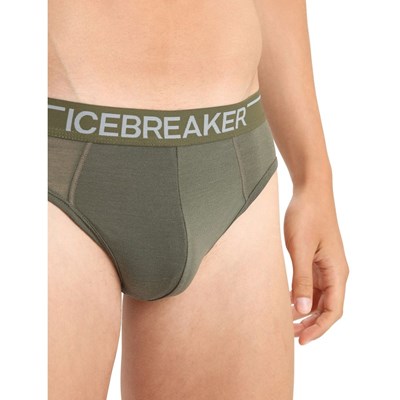 Slipy Icebreaker Anatomica Briefs loden