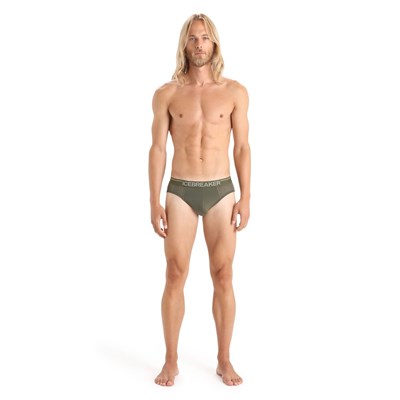 Slipy Icebreaker Anatomica Briefs loden