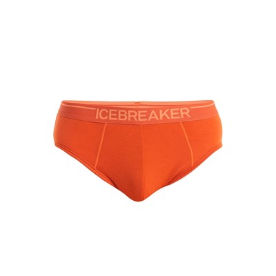 Slipy Icebreaker Anatomica Briefs molten