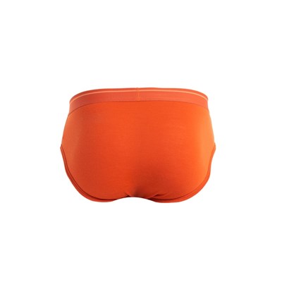 Slipy Icebreaker Anatomica Briefs molten