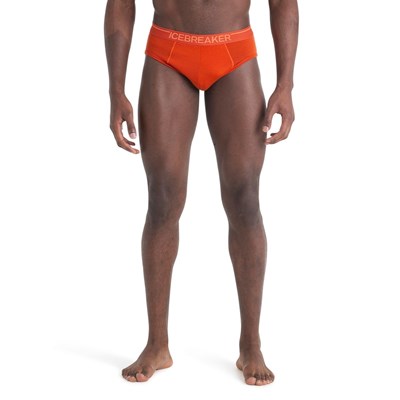 Slipy Icebreaker Anatomica Briefs molten