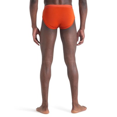 Slipy Icebreaker Anatomica Briefs molten