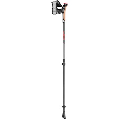 Hole Leki Instructor Lite dk.anth./silvergr./br.red