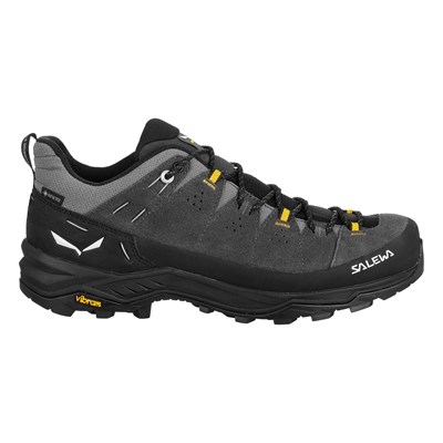 Boty Salewa Alp Trainer 2 GTX onyx/black