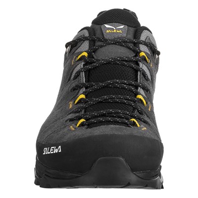 Boty Salewa Alp Trainer 2 GTX onyx/black